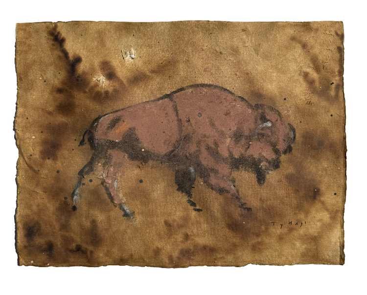Bison
